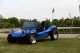 Thumbs/tn_Beetle at the beach 2022 017.jpg